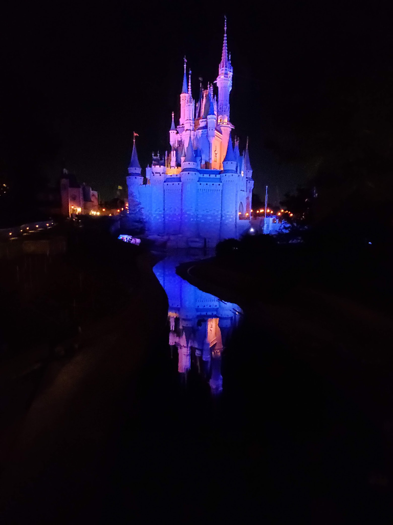 The Enchanted Castle at DisneyWorld