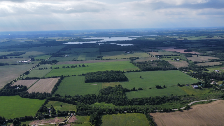 Belwood Lake aerial