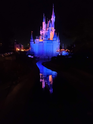 Enchanted Castle