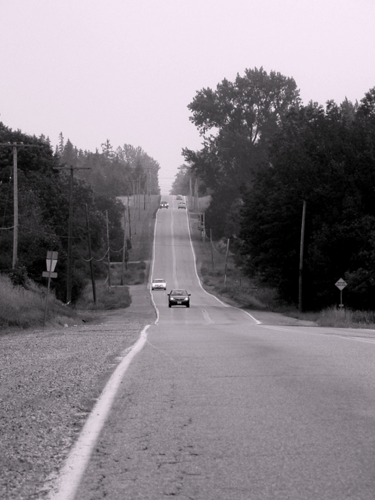 A shot along the roadside just outside of Guelph