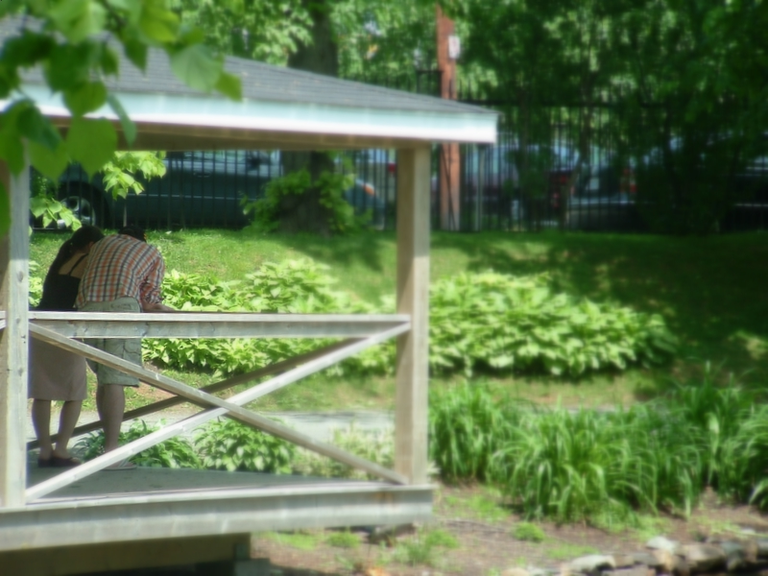 A couple in the Public Gardens in Halifax.