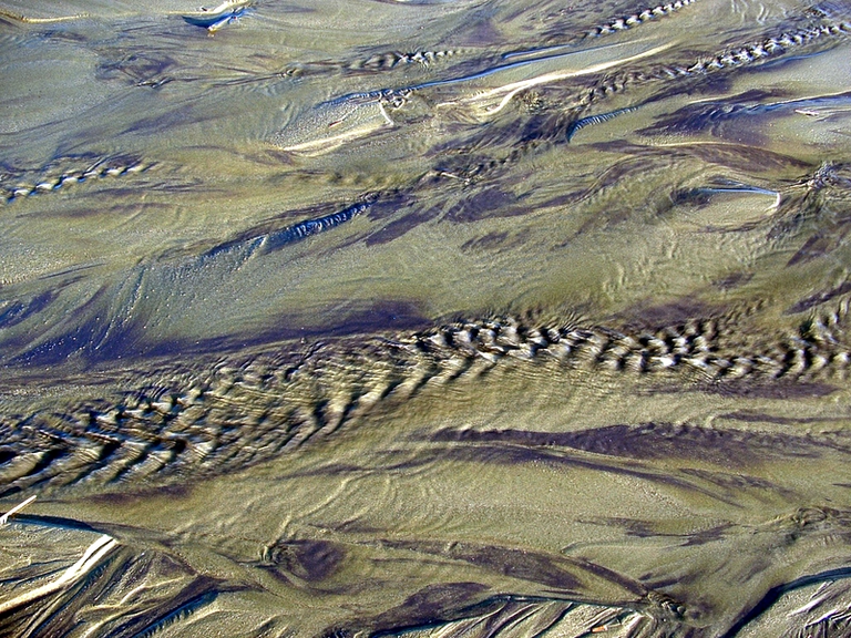 Silt and Sand with water flowing over them - all at a beach.