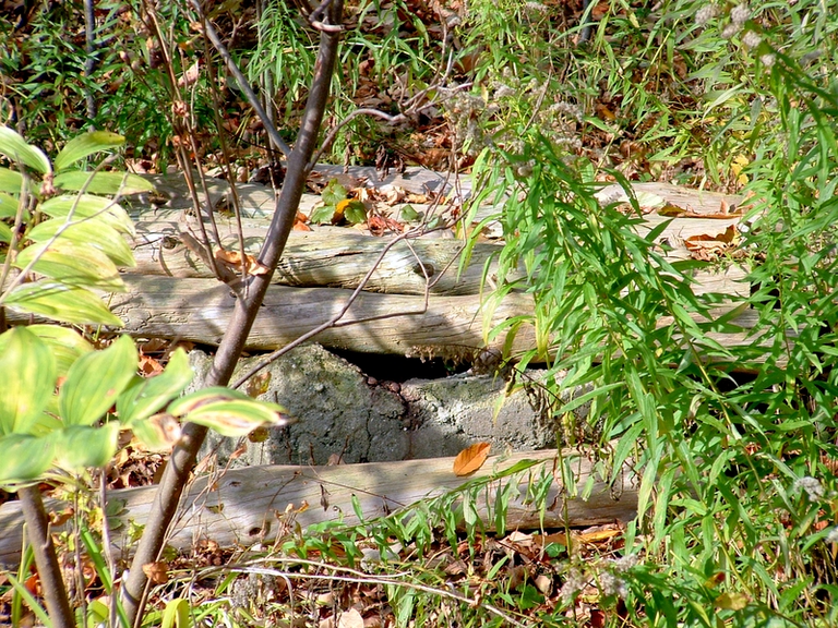 An old well covered with logs, outside of Stratford.